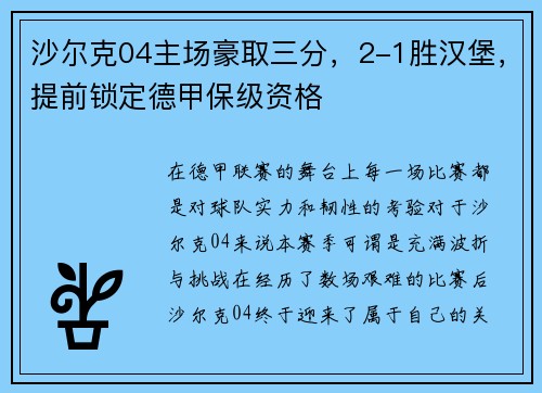 沙尔克04主场豪取三分，2-1胜汉堡，提前锁定德甲保级资格
